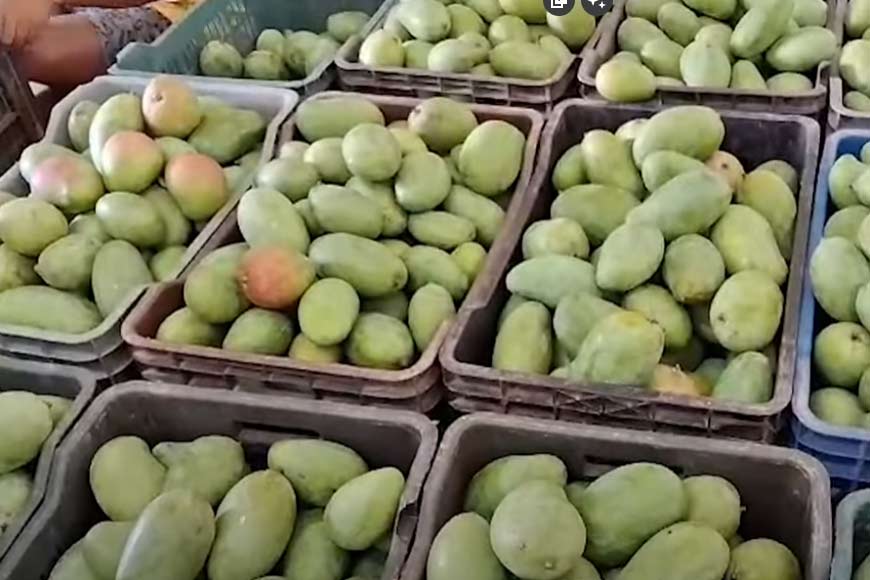 Bankura mango cultivator wins big at Delhi International Mango Fest â€“ GetBengal story 