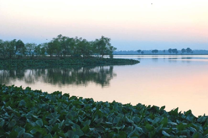 Kolkata becomes the first Indian city to get a â€˜Biodiversity Registerâ€™