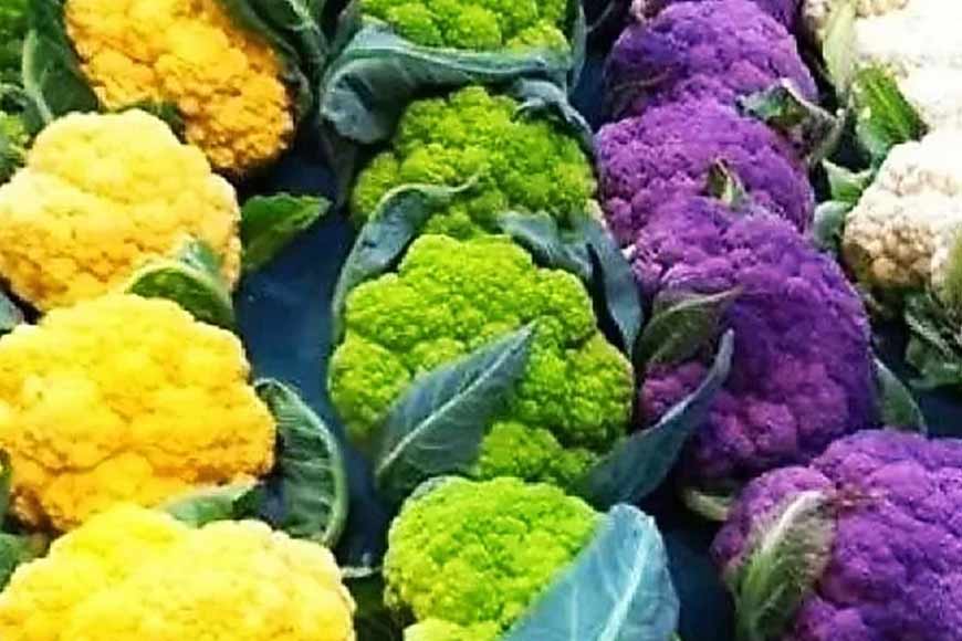 Bengalâ€™s farmers cultivate high-nutrition laden Dutch cauliflowers