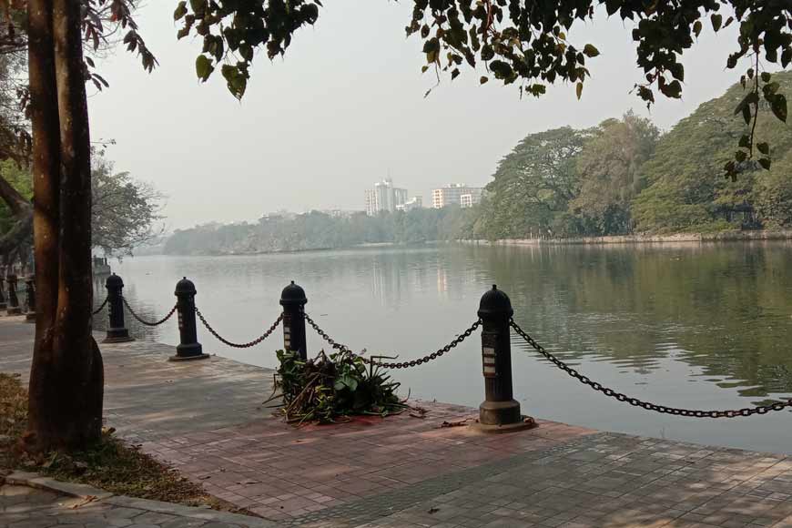 Rare Trees of Dhakuria Lake â€“ Lungs of South Kolkata - GetBengal story
