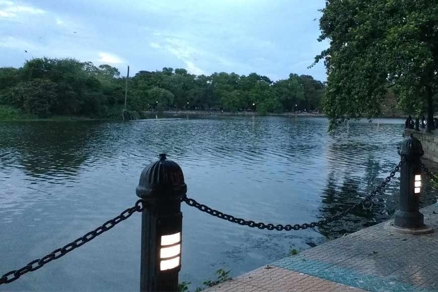 Graceful Trees of Dhakuria Lake â€“ Exotic and Imported from other continents