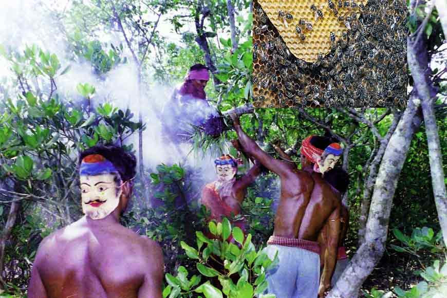 Sundarbansâ€™ honey collectors get big-time help from the Forest Department