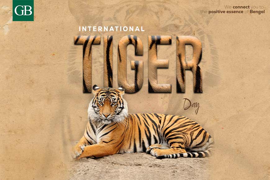 On International Tiger Day, celebrating a lifelong love affair with the majestic animal â€“ GetBengal Story