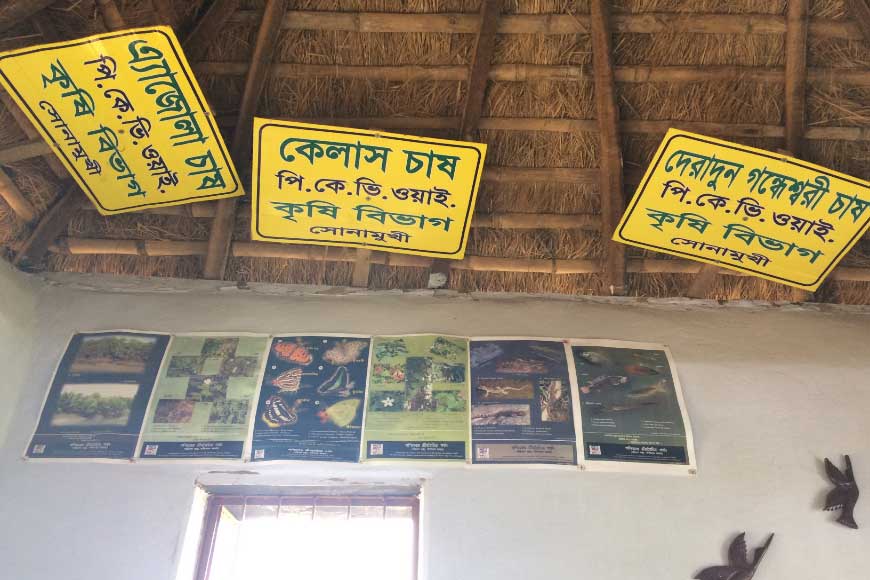 How cluster farmers of Bankura are reviving lost varieties of Bengal paddy - GetBengal story