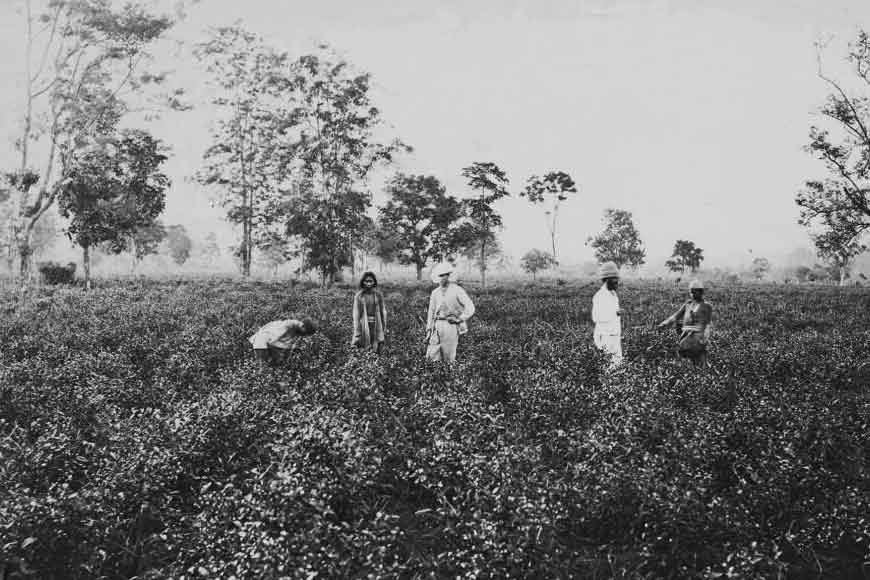 Bengalâ€™s â€˜Muluk Chaloâ€™ stir was a harbinger of the trade union movement in India