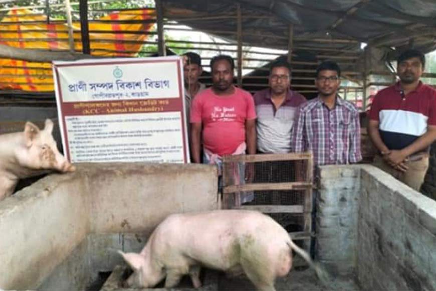  â€˜Smart farmerâ€™ successfully sets up piggery at Jhargram, thank to â€˜Duare Sarkarâ€™- GetBengal story