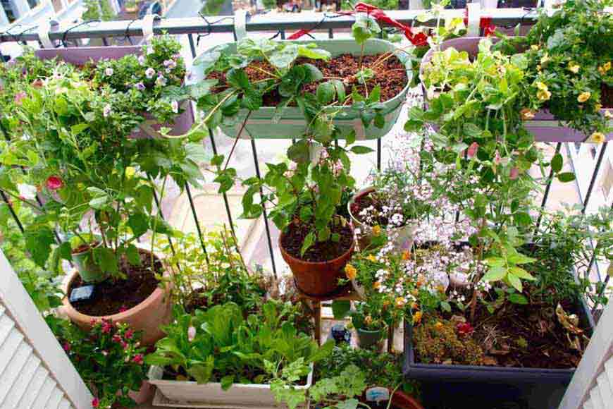 Bring â€˜Natureâ€™ within your home and conserve it in your way