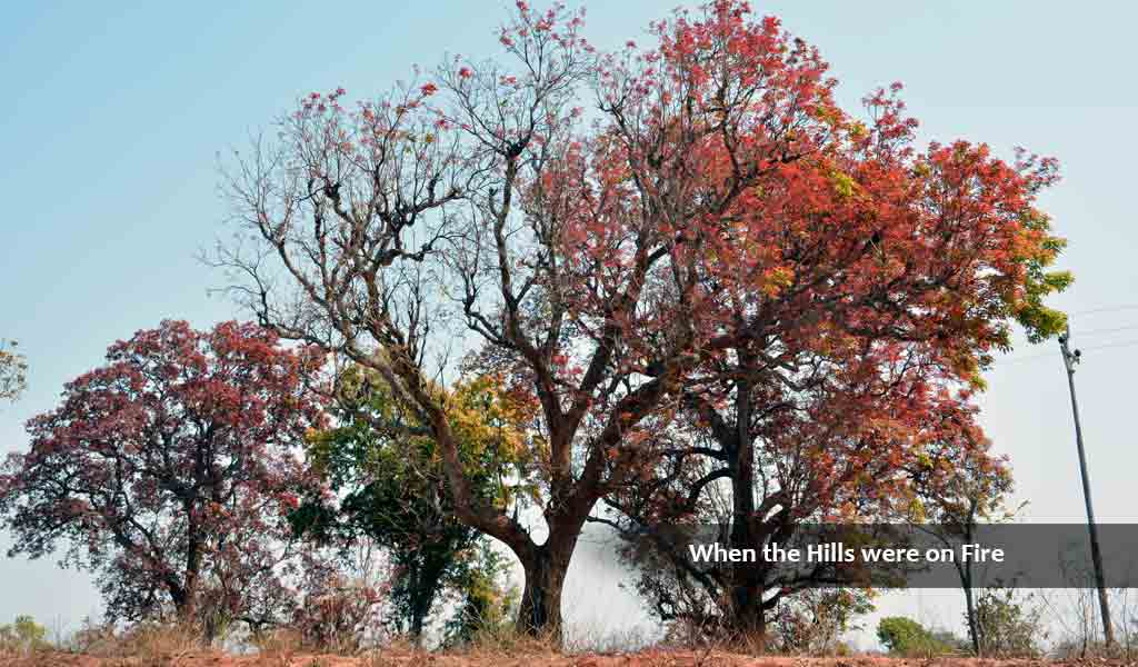 When Spring breaks across Red Hills
