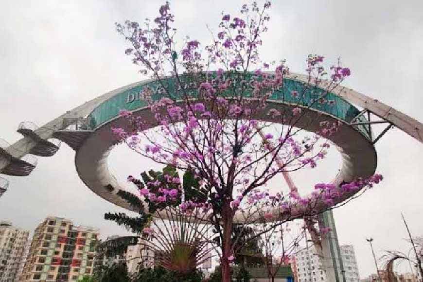 I see skies of blue, â€˜pink blossomsâ€™ too and I think to myself, what a wonderful worldâ€¦ â€“ how spring arrives in New Town