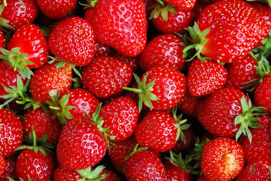 Strawberry Fields and Bengal! Yes, we are growing too
