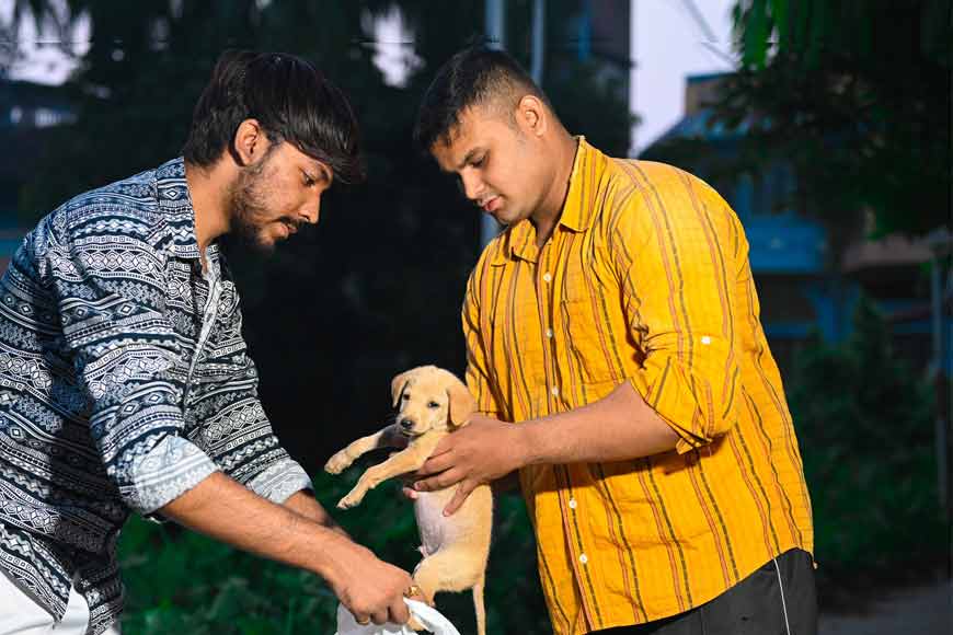 A little love and care: Bengalâ€™s stray dogs on Rajdeep and Lisaâ€™s canvas â€” GetBengal story