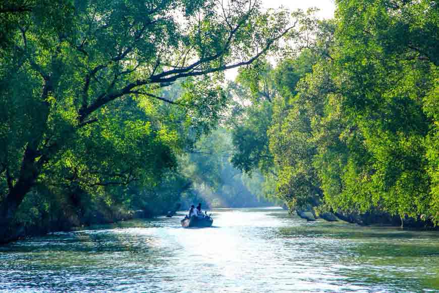Sundarbans: Where beauty battles the storms of survival - GetBengal Story