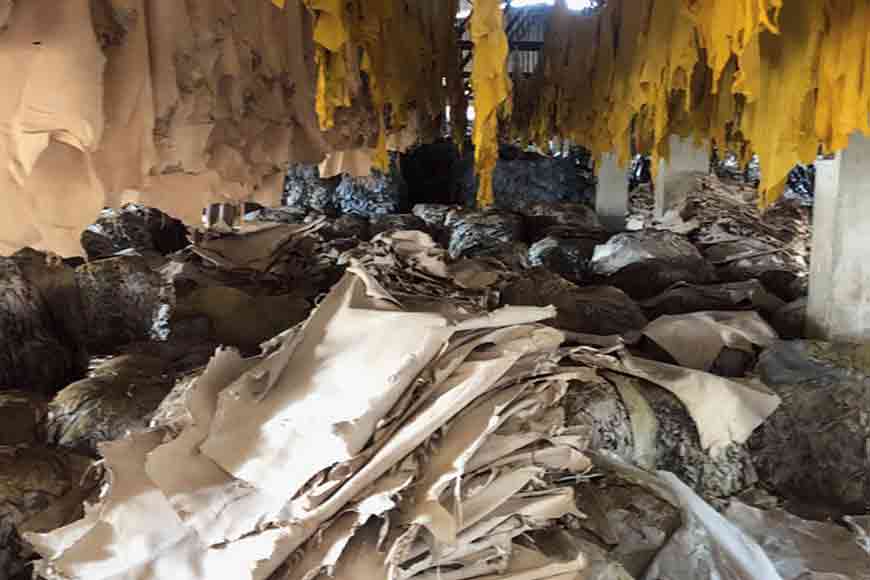 Where have Tangraâ€™s Chinese Tanneries gone?