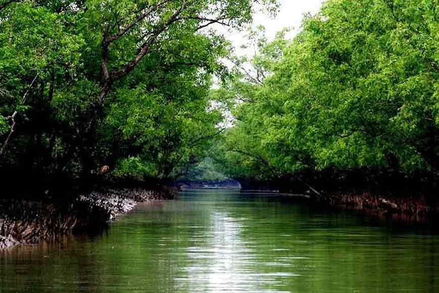 Upcoming Symposium focusing on â€˜The Lives of Sundarbansâ€™ - GetBengal story