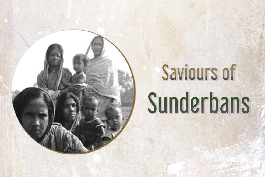 Unique afforestation drive â€“ Sundarbansâ€™ women get paid to nurture saplings