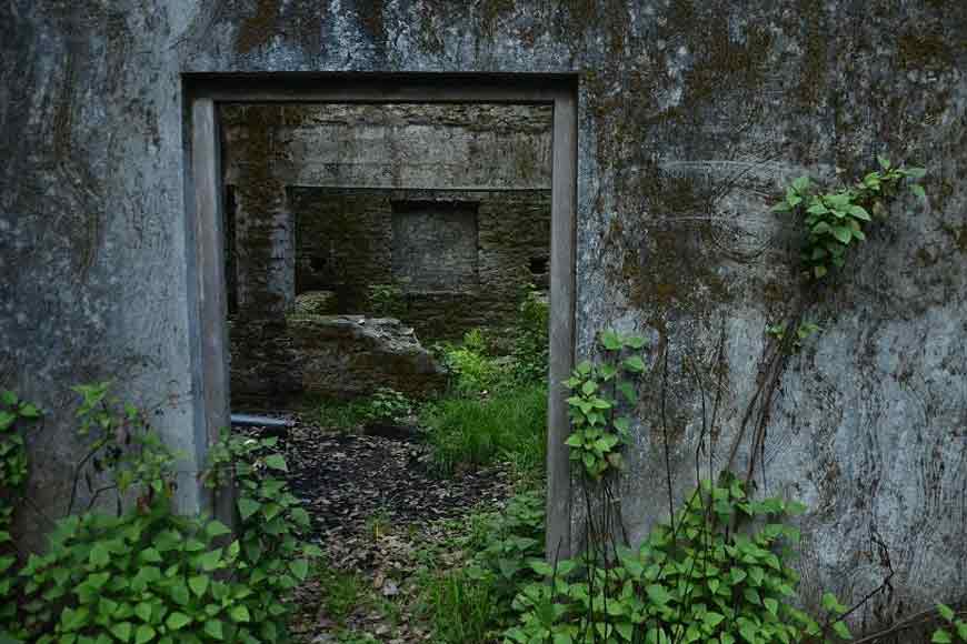 Visva Bharati University gets 2nd campus at Tagoreâ€™s Nainital retreat