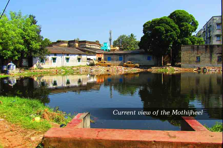 &lsquo;Royal Fish&rsquo; in &lsquo;Royal Oil&rsquo; at Belgachhia Villa!
