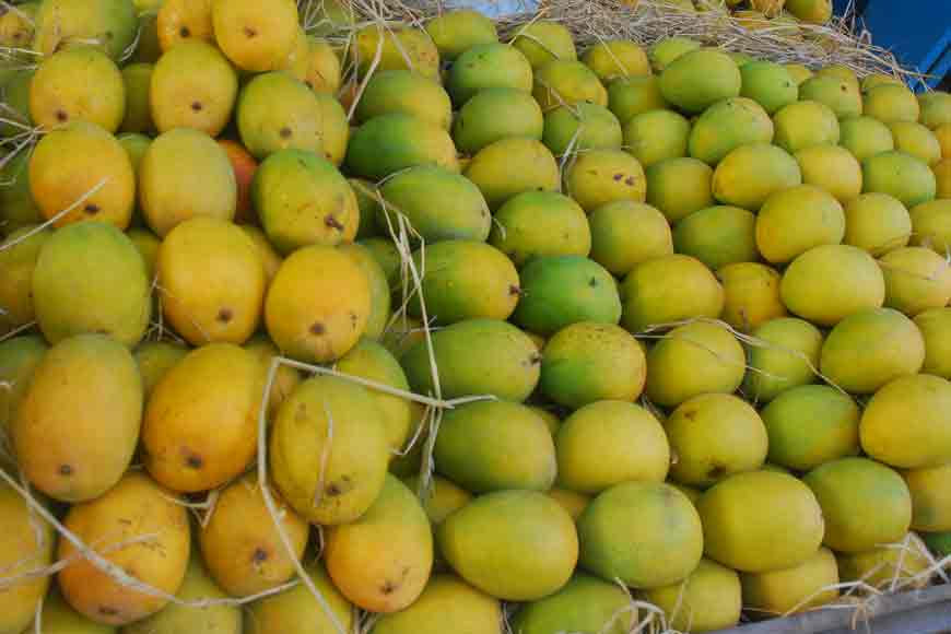 Bengal&rsquo;s love for historical mango varieties