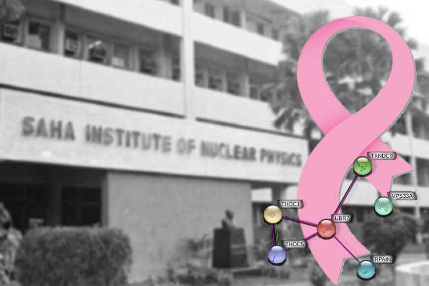 Kolkata scientists discover new protein to treat breast cancer

