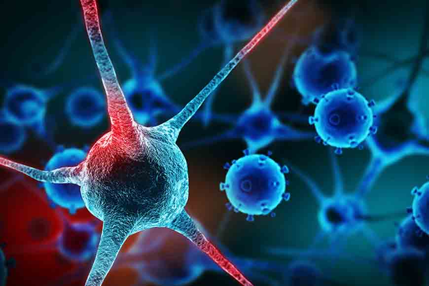 Finally, a medicine to stop cancer metastasis!
