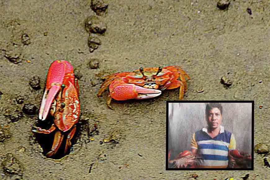&lsquo;Crab Man of Sundarbans&rsquo; is GB Inspiration of this week&nbsp;
