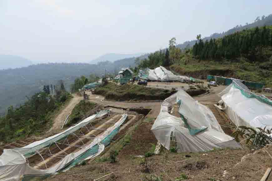 How Mungpoo&rsquo;s Cymbidium Park was reconstructed
