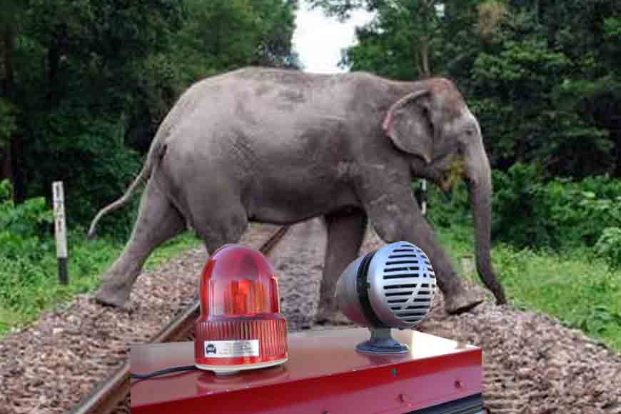 From elephant sirens to speed-breaker electricity
