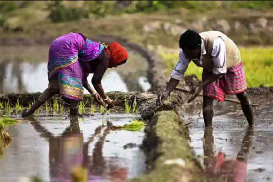 State government comes up with schemes for farmers
