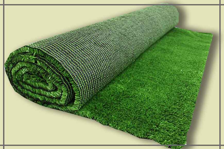 Grass cultivation in Rajarhat help farmers earn in lakhs
