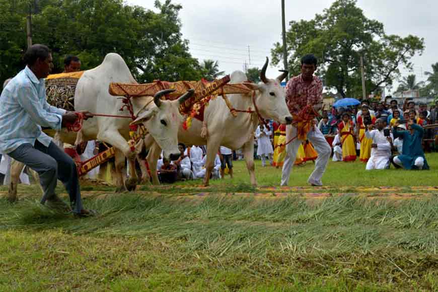 Rabindranath understood that agriculture is the true foundation â€“ GetBengal story
