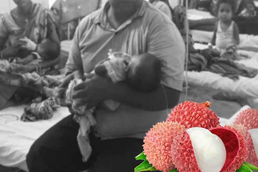 Litchis &ndash; Saviours or Killers
