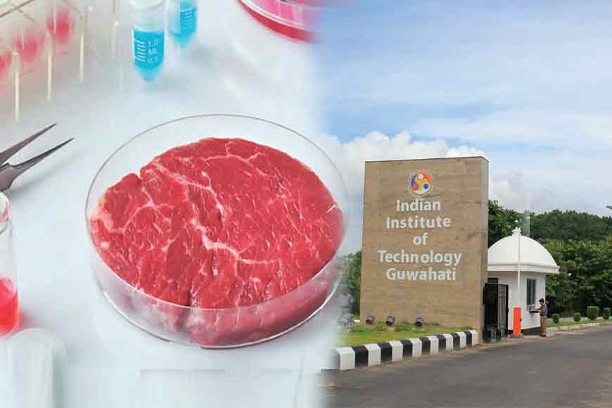 No More Killing Animals! IIT scientist Biman Mondal invents lab meat
