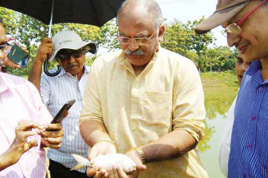 Bengali&rsquo;s favourite Hilsa being reared in a pond!
