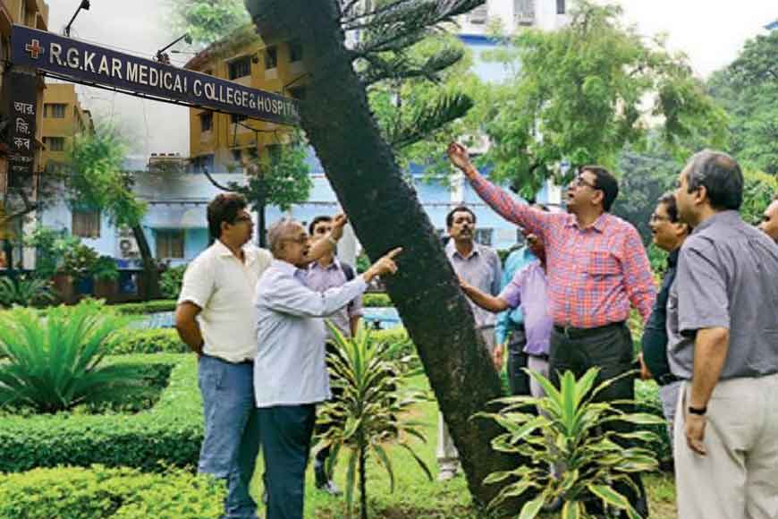 R. G. Kar Hospital on a tree rescue mission
