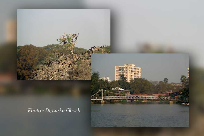 Is Kolkata&rsquo;s Rabindra Sarobar dying?
