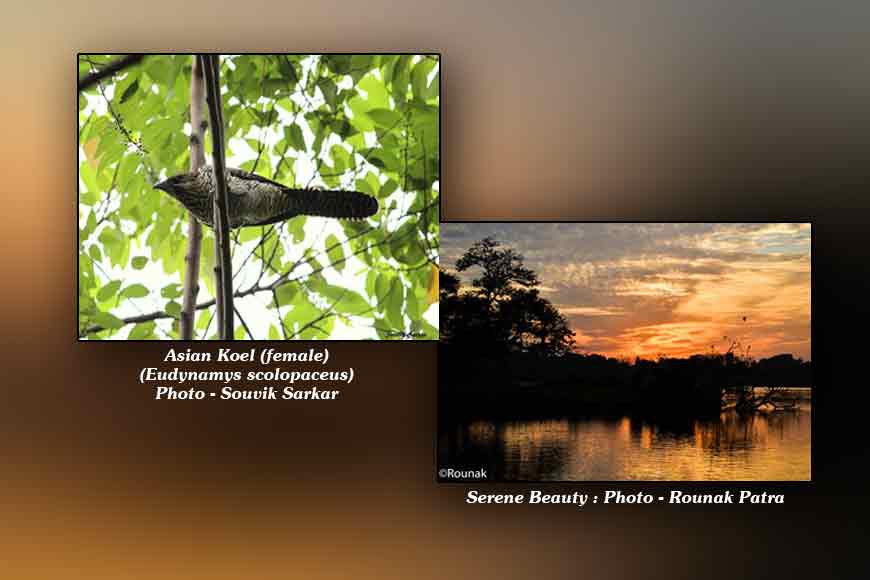 Why Kolkata&rsquo;s &lsquo;Lake&rsquo; needs to be preserved
