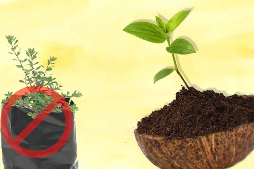 No saplings in polythene bags! Use coconut shells instead

