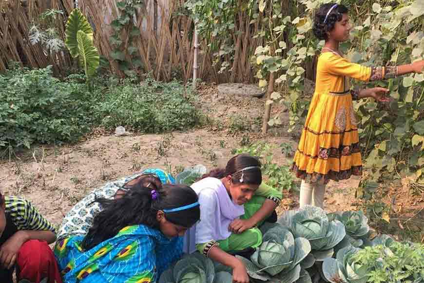 Nadia&rsquo;s govt school grows own vegetables and fish for mid-day meals
