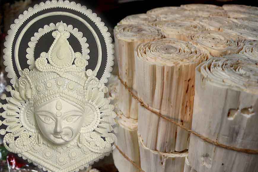 Bengal&rsquo;s shola to replace thermocol to curb pollution
