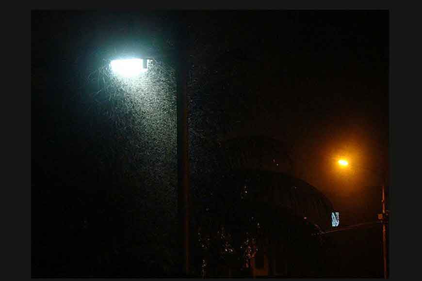 Where have all the Shyama poka gone?
