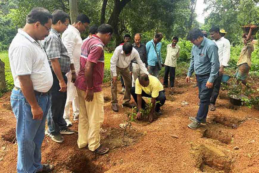 Can tea grow in Birbhum? A revolutionary attempt in the land of Tagoreâ€” GetBengal story