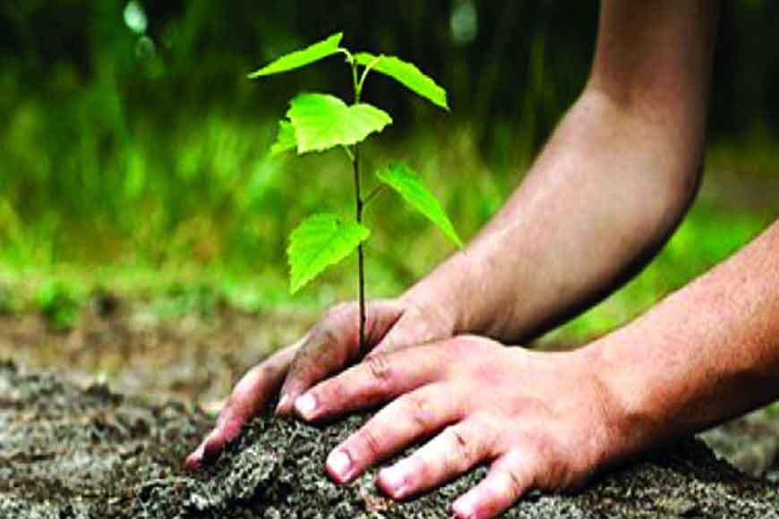 Calcuttans can now adopt a tree and save Lake Greens
